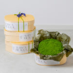 抹茶フロマージュ-11